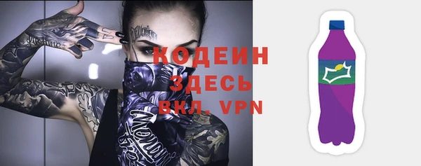 трава Лабытнанги